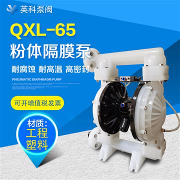 工程塑料氣（qì）動粉末泵